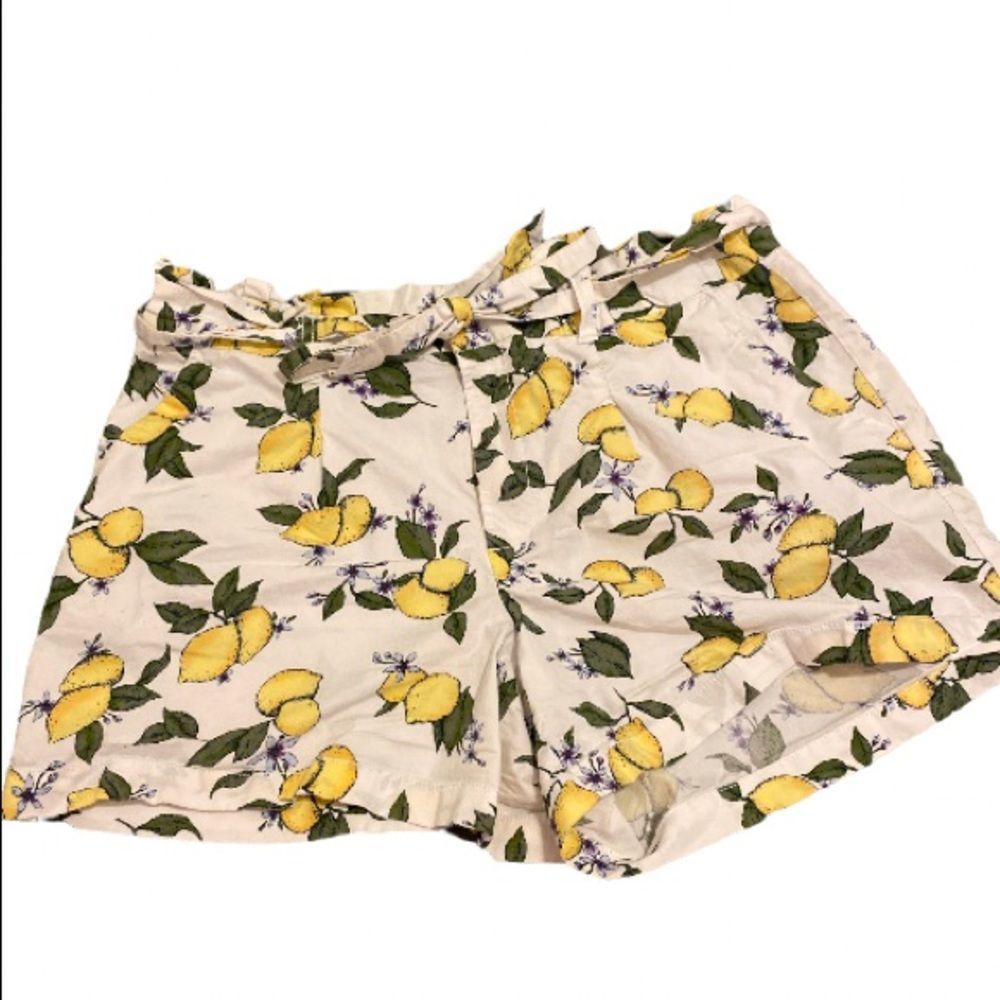 🍋 Cute summer/vacation shorts 🍋 size 16